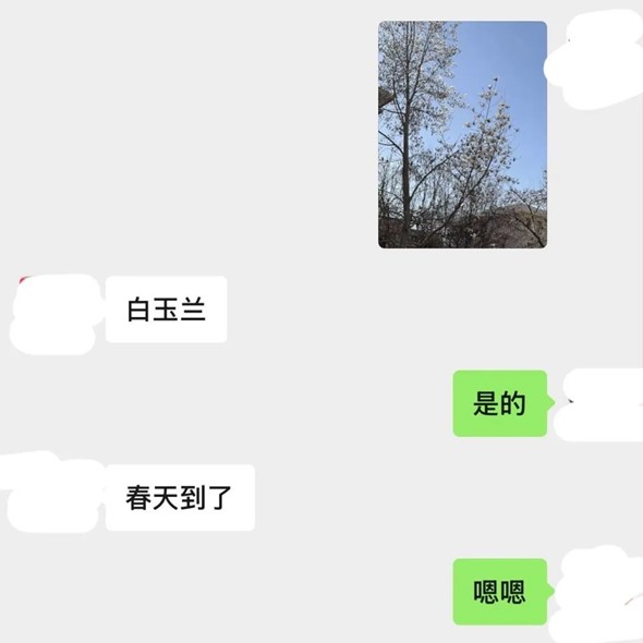 图片37.jpg